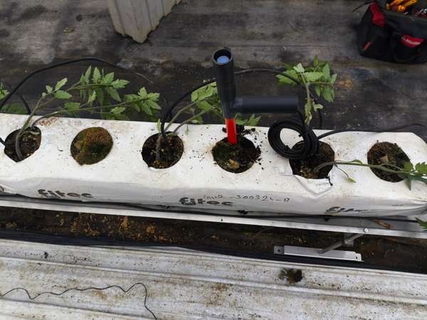 Tensiomètre installé dans la plante centrale