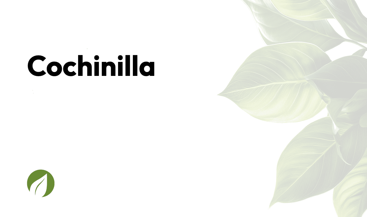 Cochinilla