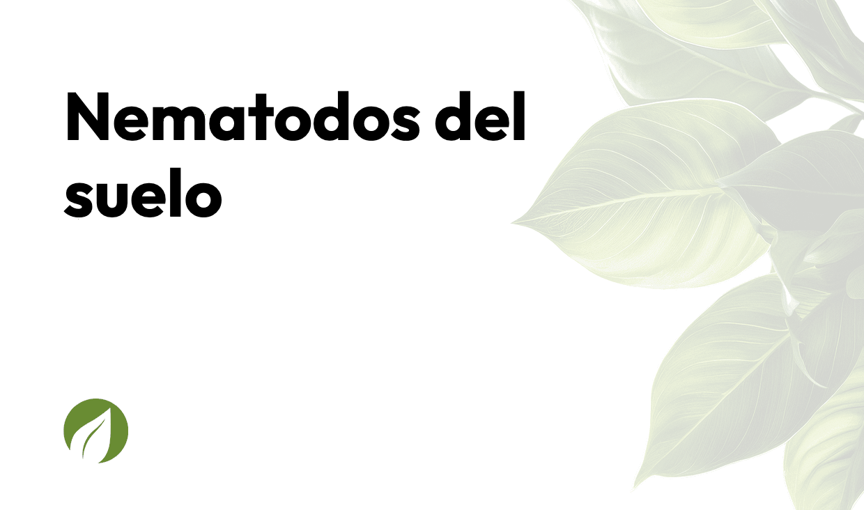 Nematodos del suelo